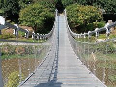 -东莞植物园