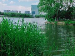 -大兴滨河森林公园