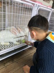 -小蜜蜂农场(凯德七宝购物广场店)