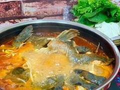 鲶鱼酸汤鱼锅-弘烨 贵州酸汤 鱼火锅(东财店)