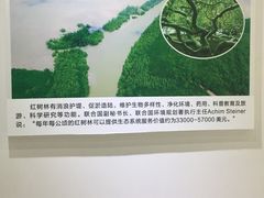 -东寨港红树林旅游区