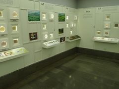 -中国茶叶博物馆(双峰馆区)
