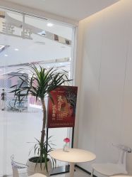 -玛莲朵·海菲秀冰珀科