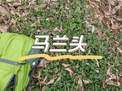 -凤凰沟景区