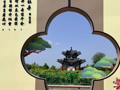 -曹州牡丹园