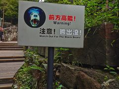 -都江堰中华大熊猫苑