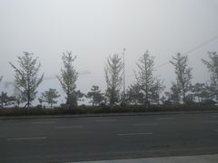 -宏源鑫海鲜餐厅·海景婚宴厅(石老人店)