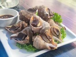 牙**螺