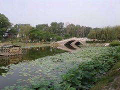 android_upload_pic-白洋淀景区