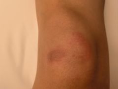 -福帆百草堂影院式足疗(人民西路店)