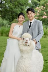 -花漾摄影优选工作室(东莞原创作品店)