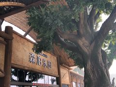 -杭州开元森泊度假乐园