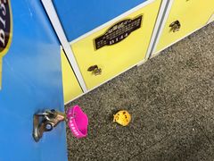 -珠海市体育中心-游泳馆