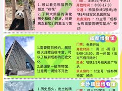 -成都大熊猫繁育研究基地