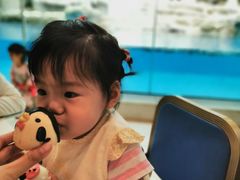 -帝企鹅自助餐厅•儿童岛•真企鹅(长隆企鹅酒店)