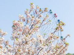 -观澜湖生态运动公社