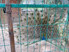 -南山风景名胜区