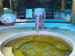 -华侨城阳宗海海景温泉