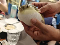 -肆月河豚·新淮扬(金融街店)