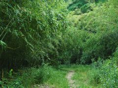 -东钱湖旅游度假区