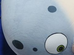 -海合安青岛极地海洋公园