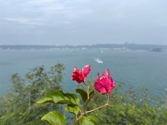 -涠洲岛火山国家地质公园