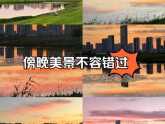 -洋湖国家湿地公园