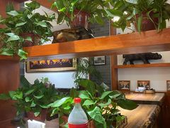-老奉天马家烧麦(三台子店)