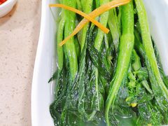 上汤富村菜心-点都德(大茶楼店)
