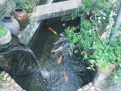 -老屋咖啡