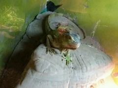 -上海昆虫博物馆