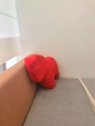 -杭州医巢医疗美容
