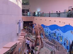 -陕西自然博物馆