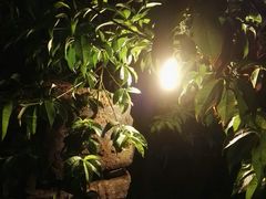 -北京山里寒舍度假酒店