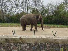 -合肥野生动物园