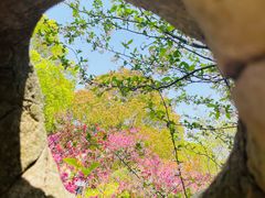 -南汇桃花村