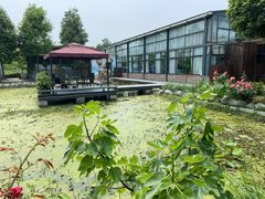 -洪湖家庭农场·团建·露营·会议