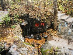 -天女山森林公园