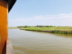-宁波杭州湾国家湿地公园