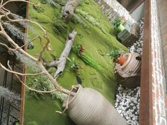 -王荣法仓前羊锅