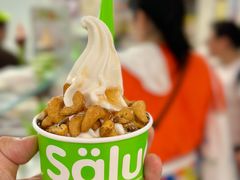 -Salud撒露欧洲冻酸奶(五道口购物中心店)