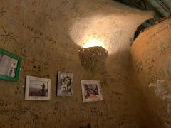 -大灰狼(中心书城店)