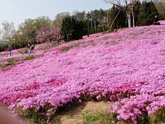 -棒棰岛宾馆景区