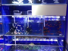 -天丰利生活MALL(和平里店)