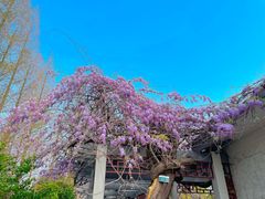 -郑和公园