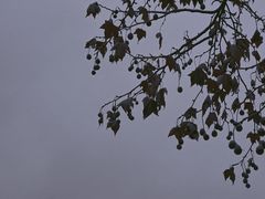 -大连金石滩国家旅游度假区