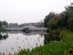 -映月湖公园