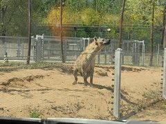 -秦皇岛野生动物园