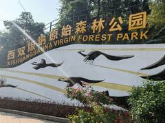 -西双版纳原始森林公园