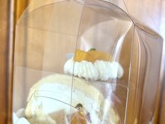 -Tomado绿色烘焙(大尧三路店)